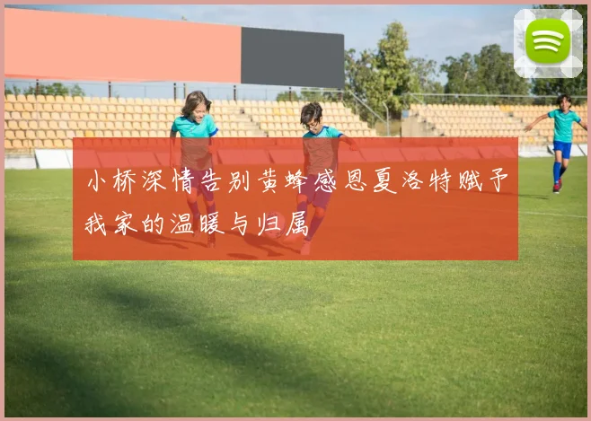 小桥深情告别黄蜂感恩夏洛特赋予我家的温暖与归属