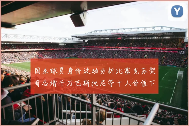 国米球员身价波动分析比塞克苏契奇各增千万巴斯托尼等十人价值下滑