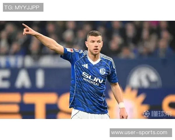 沙尔克04能否在穆斯利奇的带领下重返德甲赛场再创辉煌